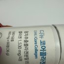 대한뉴팜(주) | 디뉴 코어 콜라겐-선물