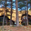 숲속의 집 이미지