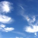 푸르른날 이미지