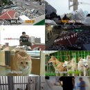 동원동물병원 이미지