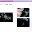 젬뷰티 | 젬뷰티 자수정 샴푸 후기