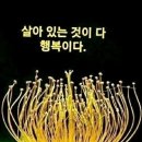 반갑습니다~ 이미지