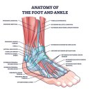 머슬필라테스 이미지