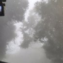 신용농장 이미지