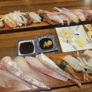 스시소담 이미지