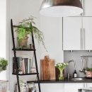 여름식물 인테리어 이미지