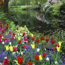 꽃이있는풍경 이미지