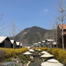 인동숲 | 공주감성글램핑 바베큐 음식포함 파크오브 드림핑 숙소후기