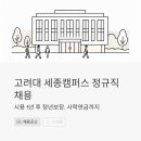 누리세무회계 | 고려대학교 세종캠퍼스 행정직 정규직 채용, 시용 1년 후 정년보장 받는 기회 잡는 법