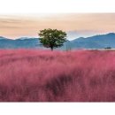 산과들에서