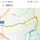명태 대가 티스토리