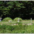 강진10호 이미지