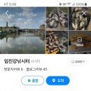 임진낚시캠핑 이미지