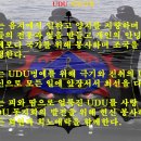 해군 첩보부대 UDU 조직도 이미지