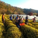 동국농장 이미지