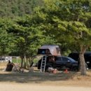 600동화장실 네이버블로그