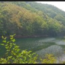 여주-1091 이미지