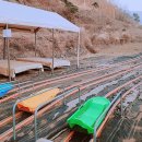 그린나래민박 이미지