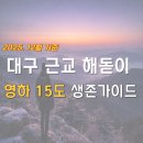 대구 법이산 봉수대 | 2026 해돋이 가기 전 필독｜대구 근교 일출 시간차 + 영하 15도 생존 준비물 총정리