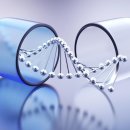 KJ헬스케어 이미지