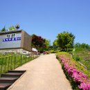 숲속어린이공원 이미지