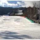 휘닉스파크대중골프장 이미지