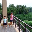 남악초등학교 게시판에 올린 아진사진들 이미지