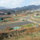 원구농장 이미지