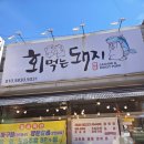 회먹는돼지 | 군산 회먹는돼지 점심특선 활전복 해물칼국수 후기