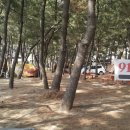 914 해변 캠핑장
