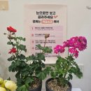 플라워24시 이미지