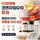우리가축약품 | 코엔자임Q10 효능 활력과 혈압 관리 체감하기까지 제품별 차이 비교