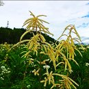 백두목장 이미지