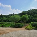 양평가축병원 이미지