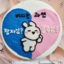 [임신/출산] 임신중기 13주~24주 주간일지