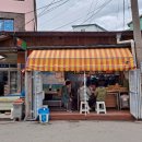 푸른김밥 티스토리