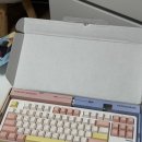 핑크PC | SPM PL87W 베이비핑크 내돈내산 후기 저소음 목새 스위치 타건음 &amp; 독거미 키보드 비교 (쿠팡 로켓배송)