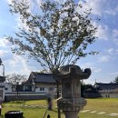 어마무시 | 경주 아이랑 카페 &lt;어마무시 경주&gt; 다녀온 솔직 후기