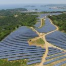 도화종합시장 이미지