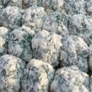 지리산함양시장 이미지