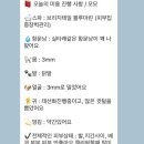 멍요일 | [23.8] 애견미용 유목민 드디어 정착 내돈내산 후기 동래 멍요일💗