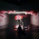 김홍도미술관 화장실 | [여수가볼만한곳] '아르떼뮤지엄 여수'