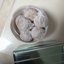 코코호도 둔산점