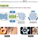육각수