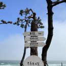 몽돌이식당 이미지