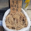 엔젤이용원 네이버블로그