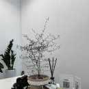 냠냠스튜디오