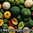 82. '단식'과 '간헐적 단식', 해독에 더 유리한 방법은? 이미지