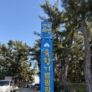 연곡해변 솔향기캠핑장 | 강릉 여행ㅣ연곡해변 솔향기캠핑장 내돈내산 방문 후기_C307 사이트