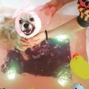 잇츠 소미 스타일 이미지